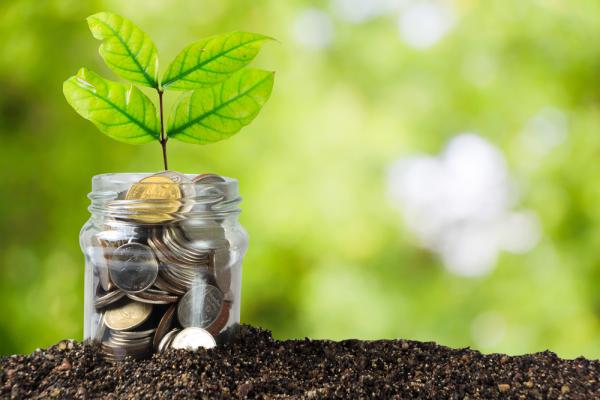 Money talks: Invest smart, be a mentor.