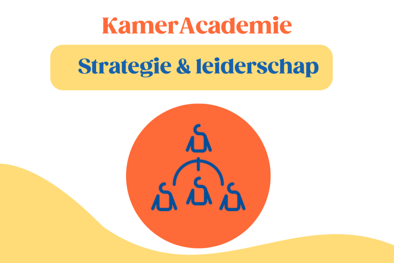 Masterclass leiderschap - De kracht en meerwaarde van een kleurrijk team