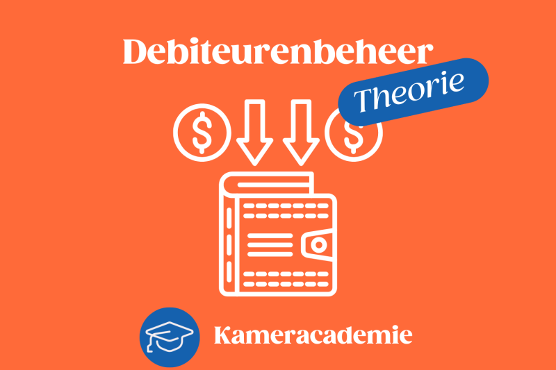 Theorie van het debiteurenbeheer