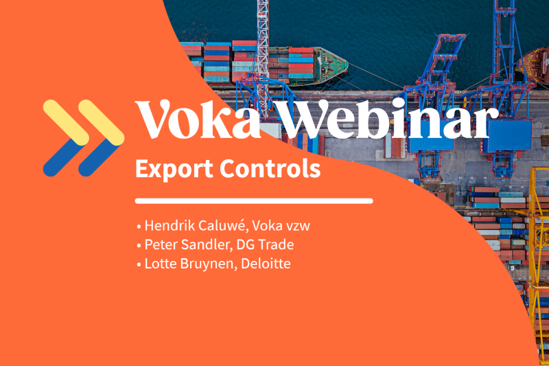 Export controls thumbnail