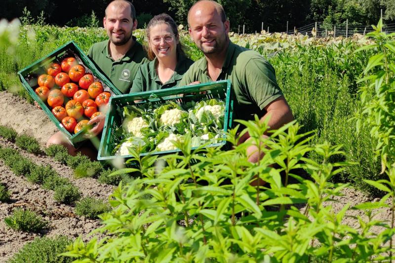 Tuinbouwbedrijf Vercammen verkiest smaak boven volume