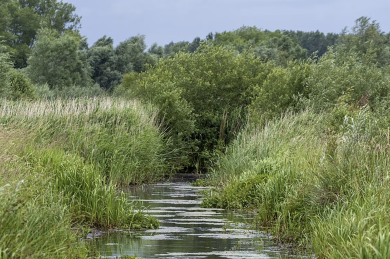 Voka na waterarrest: "Herhaaldelijk gewaarschuwd voor dit scenario"