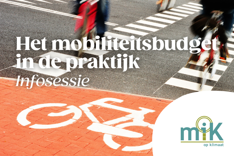 Het mobiliteitsbudget in de praktijk